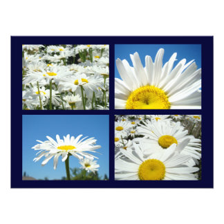 Blå himmel tusenskönor blommor konsttryck vita tus fototryck
