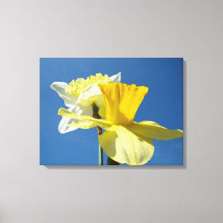 Blå himmel våren canvas konsttryck Narcissblommor