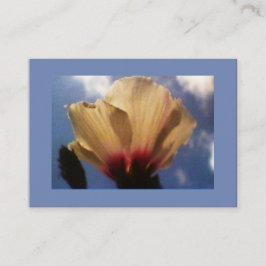 Blå himmel Vit ros Visitkort