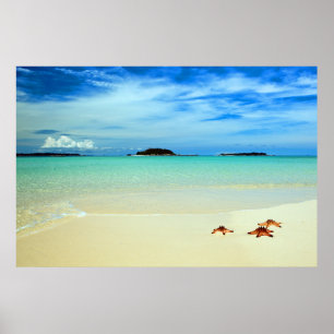 Blå himmel, vitSand och sjöstjärna Belitung Poster