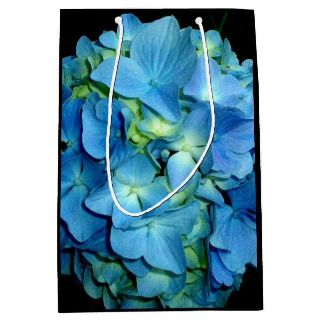 Blå Hortensia (Framsidan)