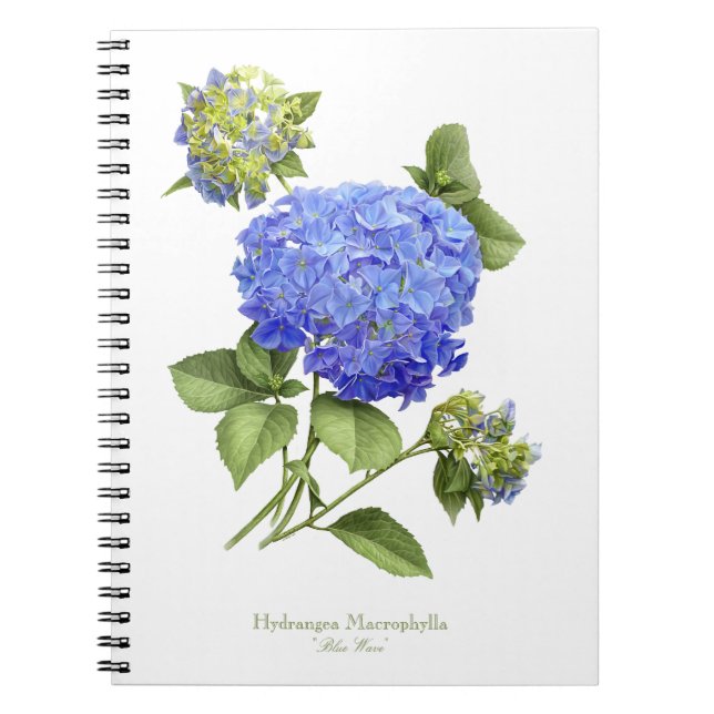 Blå Hortensia Blomma Anteckningsbok (Framsidan)