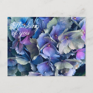 Blå Hortensia Blommor Tänker På Dig Postkort Vykort