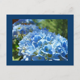 Blå Hortensia Blommor vykort Lägg Till Din Text