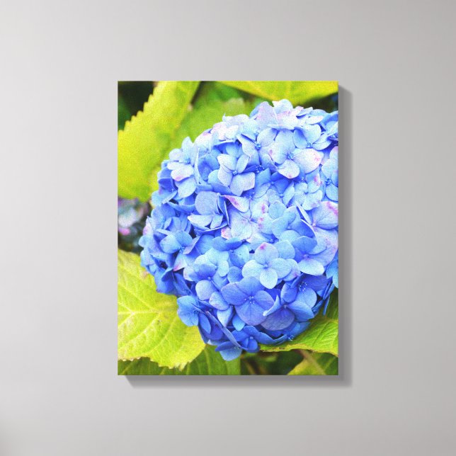 Blå hortensia canvastryck (Framsida)