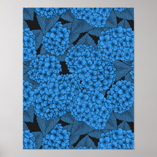Blå hortensia poster