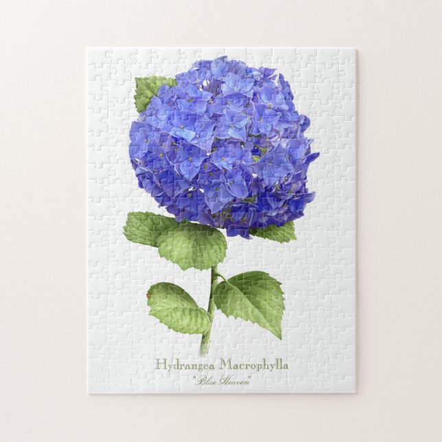 Blå Hortensia Pussel (Vertikal)