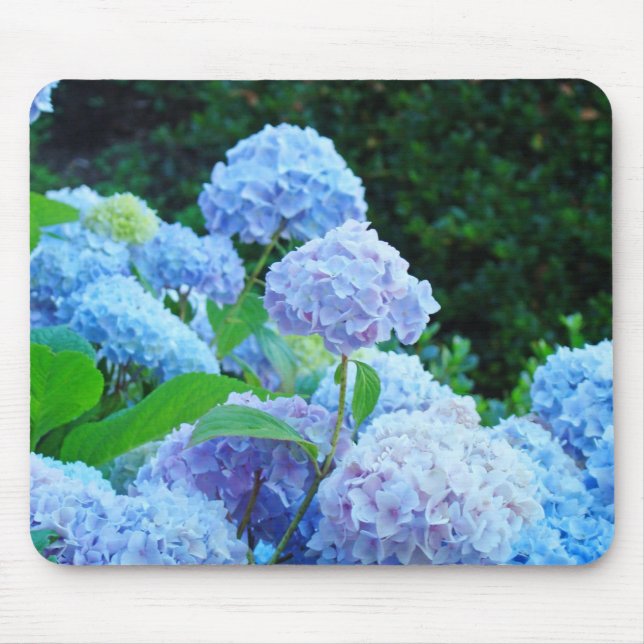Blå Hortensia Trädgårdsmusmatta Blommor Musmatta (Framsidan)