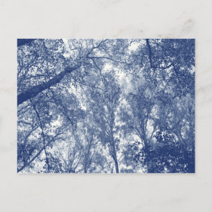 Blå Höst - Cyanotypieffekt Vykort