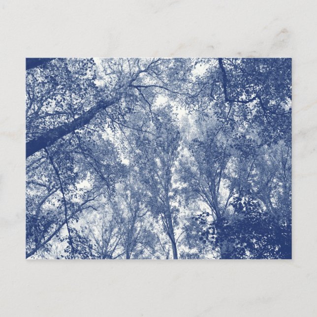 Blå Höst - Cyanotypieffekt Vykort (Framsida)