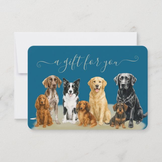 Blå Hund Grooming Pet Boarding Gift-certifikat (Framsida)