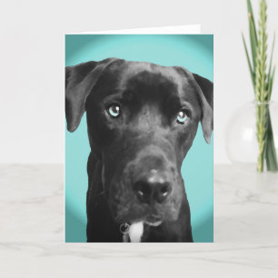 Blå hund kort