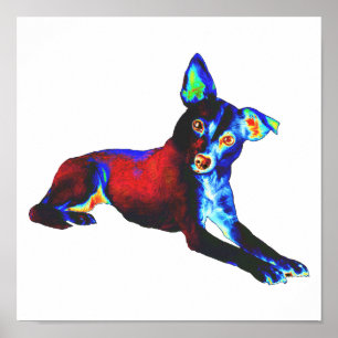 Blå Hund Poster