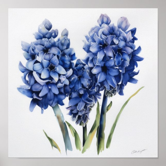 Blå Hyacint Blomma Konsttryck Poster (Framsidan)