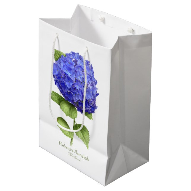 Blå Hydrangea (Framsidan Vinklad)