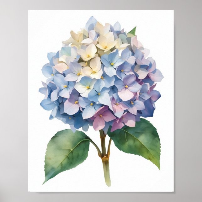 Blå Hydrangea Akvarell Botanisk Väggkonst (Framsidan)