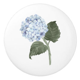Blå Hydrangea Blomma Blommar Knopp