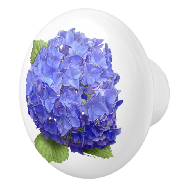 Blå Hydrangea Blomma Knopp (Höger)