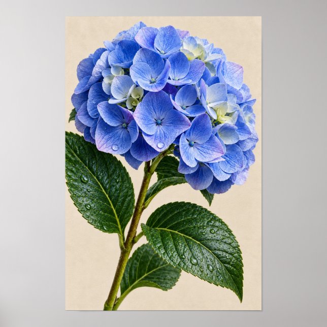 Blå Hydrangea Blommig Väggkonst (Framsidan)