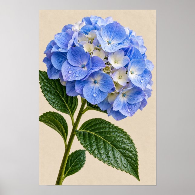 Blå Hydrangea Blommig Väggkonst (Framsidan)