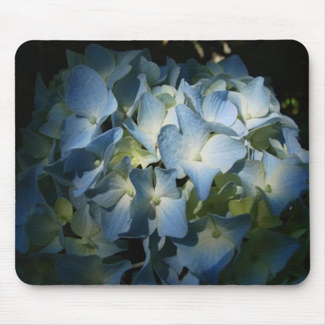 Blå Hydrangea Blommor, Blommigt Flower Photo Musmatta (Framsidan)
