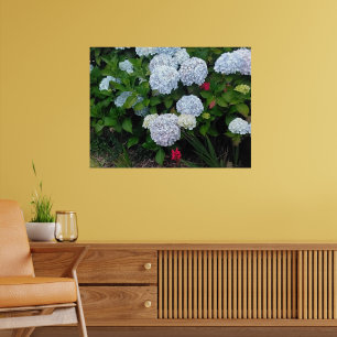 Blå Hydrangea Blommor i Sommarträdgården Poster