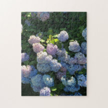 Blå Hydrangea Blommor Pussel