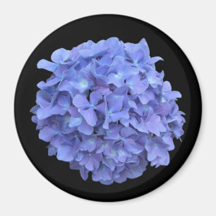 Blå Hydrangea Bloom Magnet