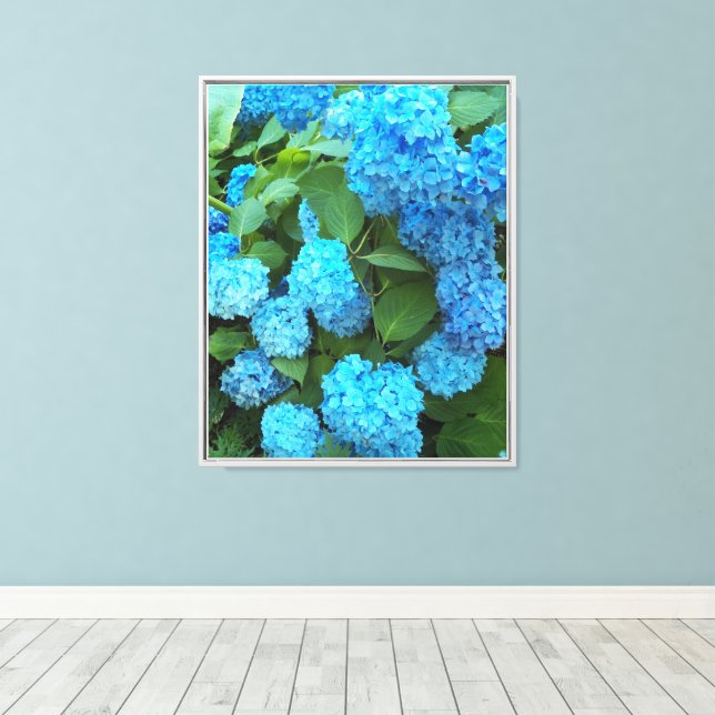 Blå Hydrangea Blooms, Blommigt Canvastryck (Insitu (trägolv))