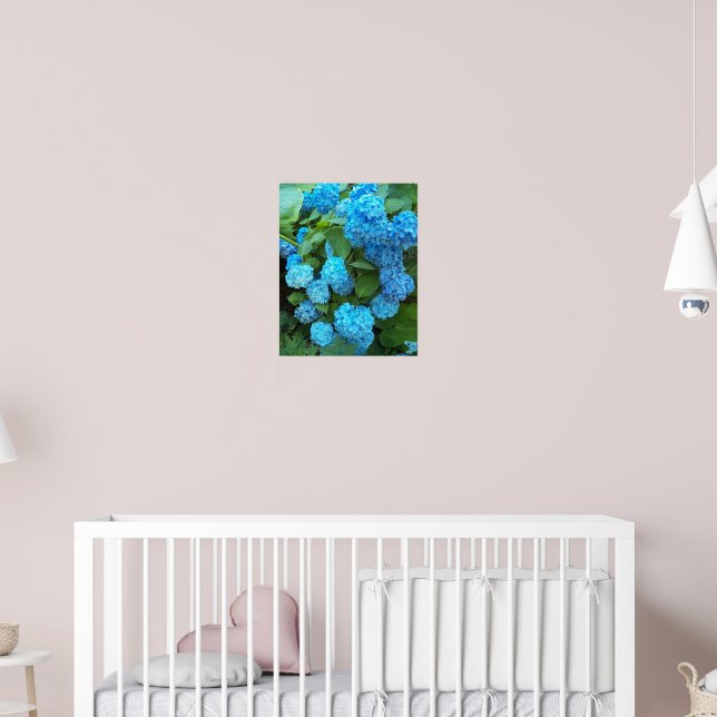 Blå Hydrangea Blooms Blommigt Fotografisk bild Poster (Barnkammare 2)