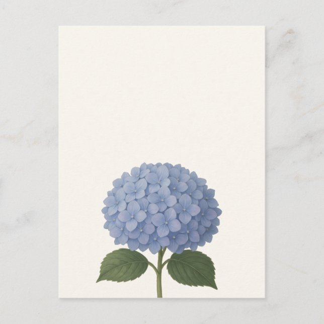 Blå Hydrangea Botanical Illustration Design Vykort (Framsida)
