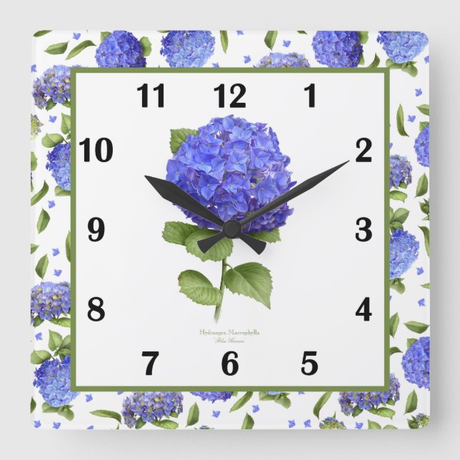 Blå Hydrangea Botanisk Konst Fyrkantig Väggklocka (Framsida)