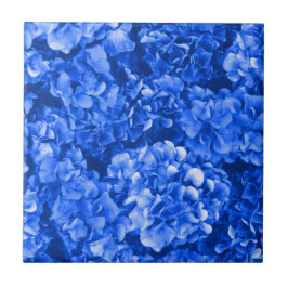 Blå Hydrangea Ceramic Tile Kakelplatta