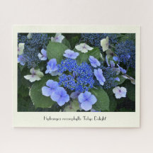 Blå Hydrangea Collectable Flower
