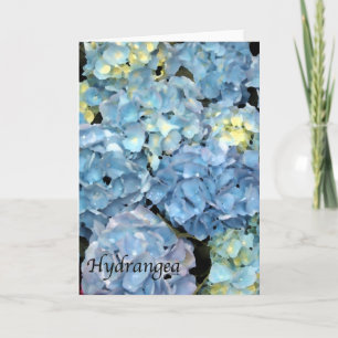 Blå Hydrangea Flower Kort