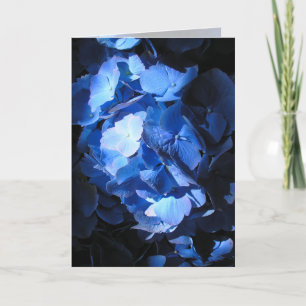 Blå Hydrangea - hälsningskort Kort