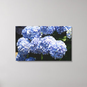 Blå Hydrangea-Kanvastryck Canvastryck