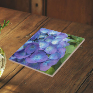 Blå Hydrangea Kronblad Blommig Kakelplatta