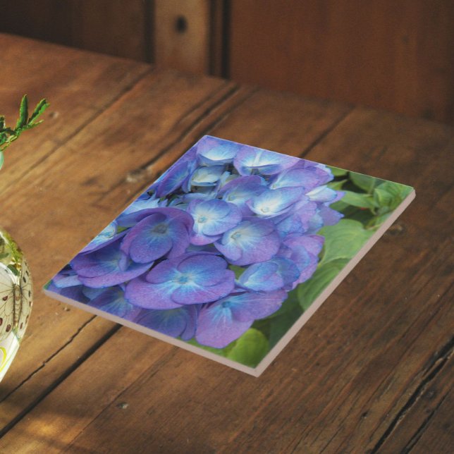 Blå Hydrangea Kronblad Blommig Kakelplatta (In Situ)