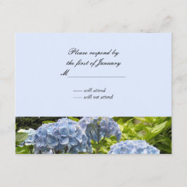 Blå Hydrangea Svarskort OSA Kort