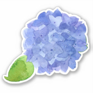 Blå Hydrangea Watercolor Flower Klistermärken