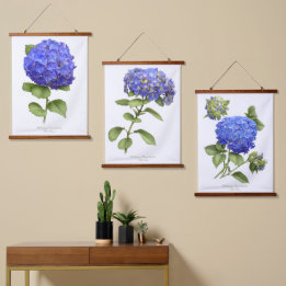 Blå Hydrangeas Flowers Botaniska Art Set av 3