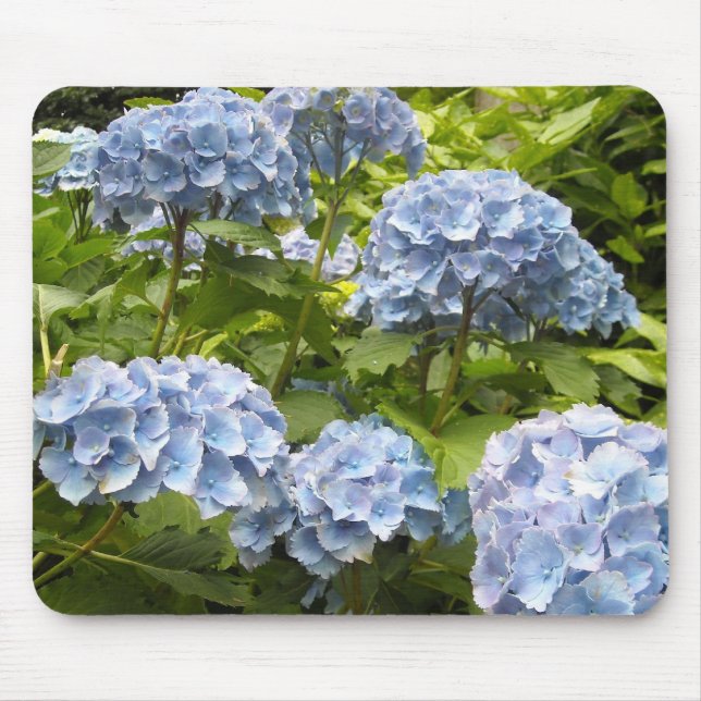 Blå Hydrangeasskuggor Musmatta (Framsidan)