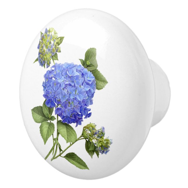 Blå Hydrangeor Knopp (Höger)