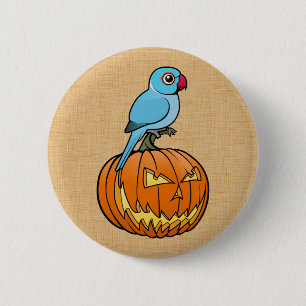 Blå indisk ringhals på pumpa Halloween Knapp