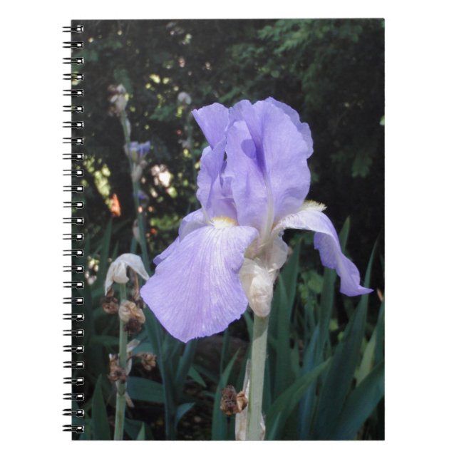 Blå Iris Anteckningsbok (Framsidan)