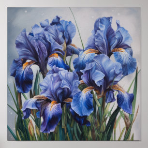 Blå Iris Blomma Konsttryck Poster
