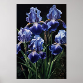 Blå Iris Blomma Konsttryck Poster