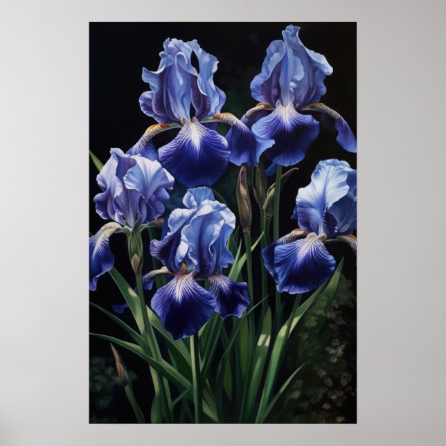 Blå Iris Blomma Konsttryck Poster (Framsidan)