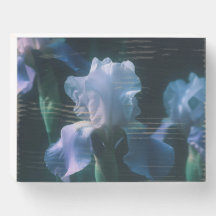 Blå Iris Blommig Väggkonst Poster